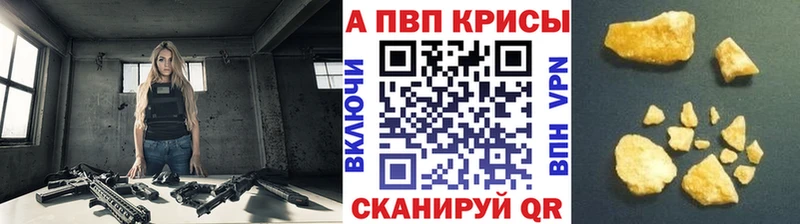 А ПВП СК КРИС  Суджа 