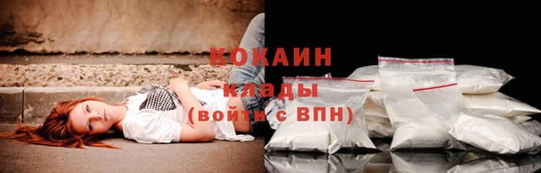 сатива Мегион