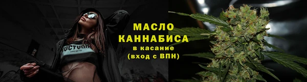сатива Мегион