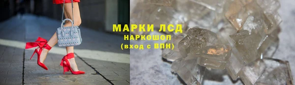 стафф Михайловск