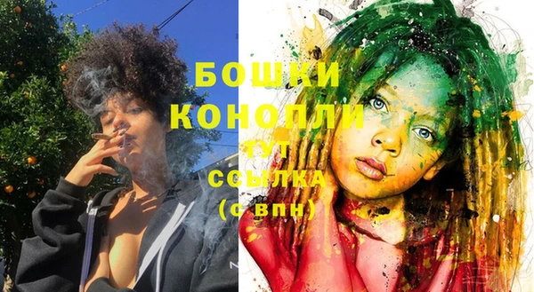 сатива Мегион