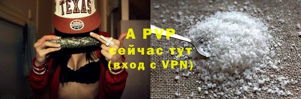 a pvp Пионерский