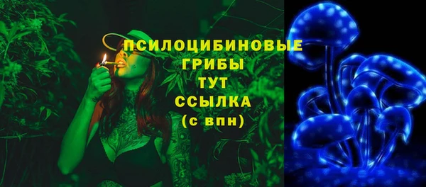 хмурый Медногорск