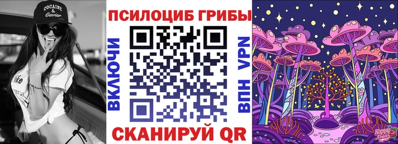 Галлюциногенные грибы Psilocybine cubensis  Суджа 