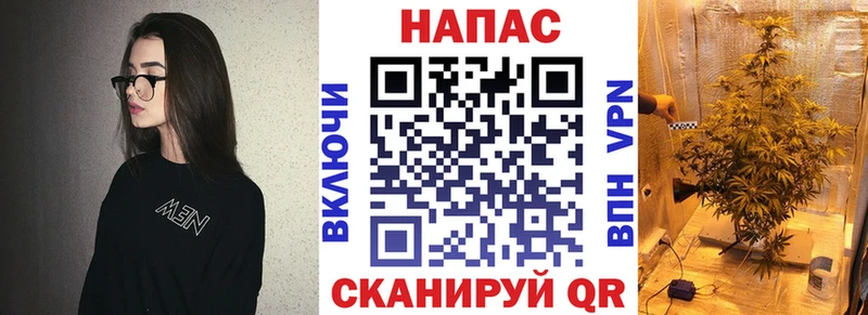 как найти Суджа Бошки марихуана ГИДРОПОН